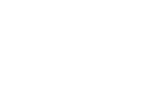 Hunt & Gather